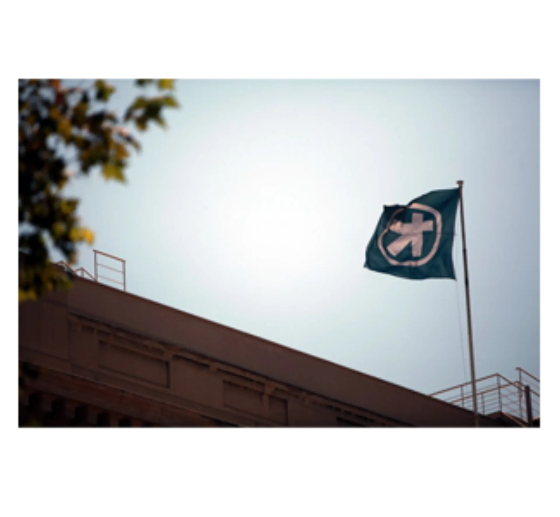 Αναβάθμιση Απολογισμού Εταιρικής Κοινωνικής Ευθύνης 2013 σε Α+ της Alpha Bank