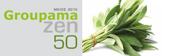 banner-groupama-zen-50