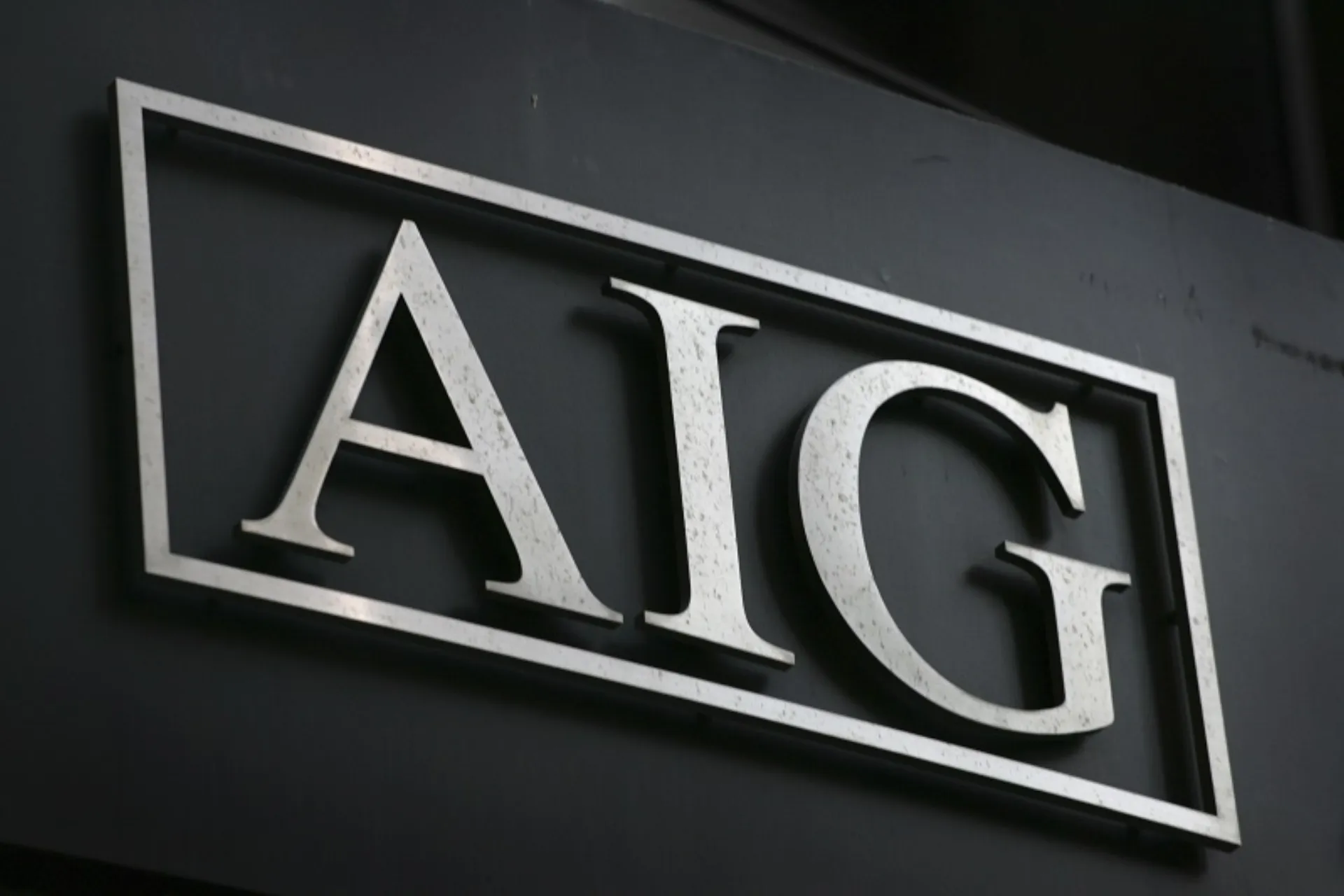 AIG: Ολοκλήρωση Εργασιών Εθελοντικού Μήνα