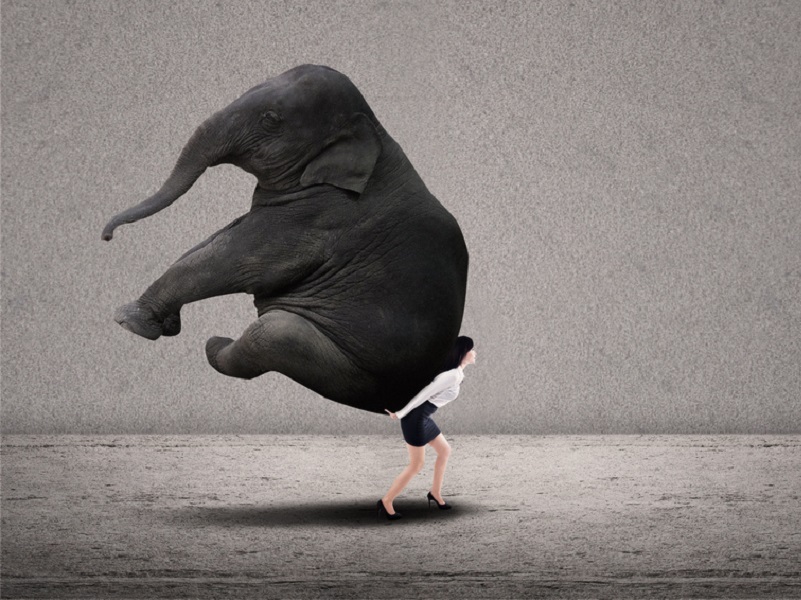 Τα χρέη της Ασπίς στο δημόσιο και οι ζημιωθέντες