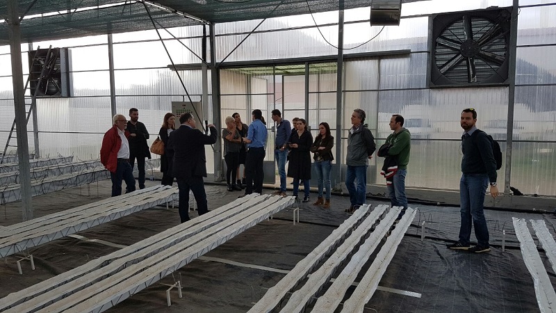 INTERAMERICAN: Εξειδικευμένη εκπαίδευση με θέμα τις αγροτικές ασφαλίσεις