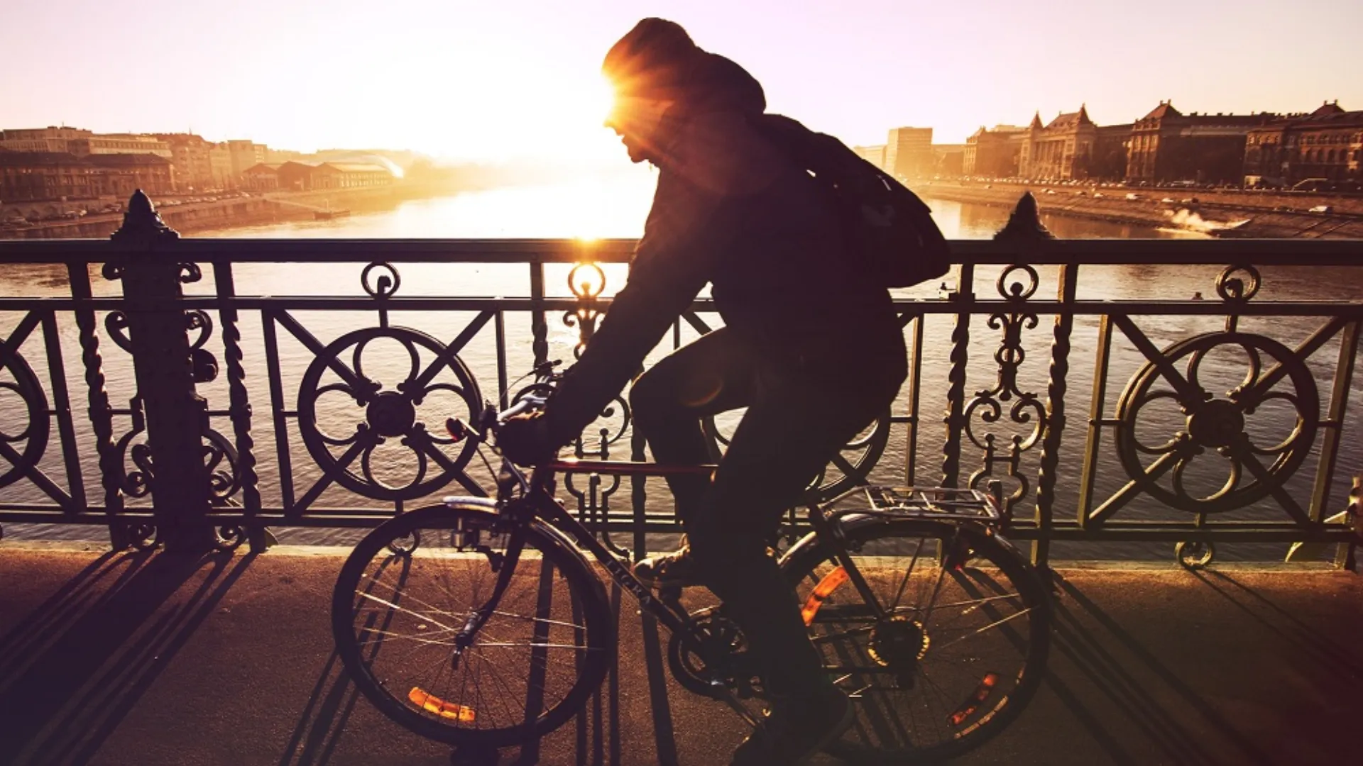 INTERLIFE: “SAFEBIKE” Πρόγραμμα Ασφάλισης Ποδηλάτου