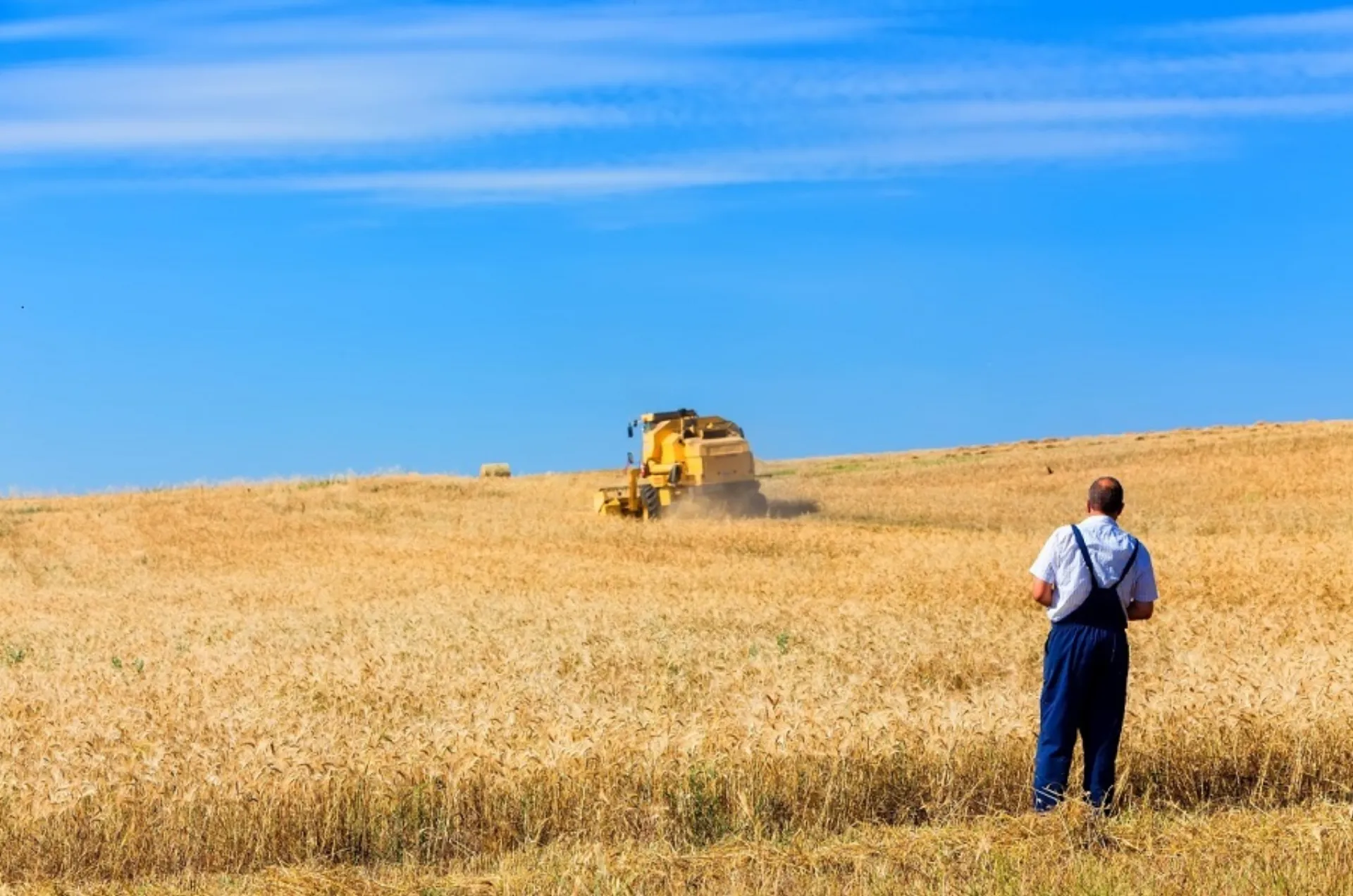 ΕΛ.ΓΑ.: Αποζημιώσεις 2 εκατ. ευρώ για ζημιές του 2021
