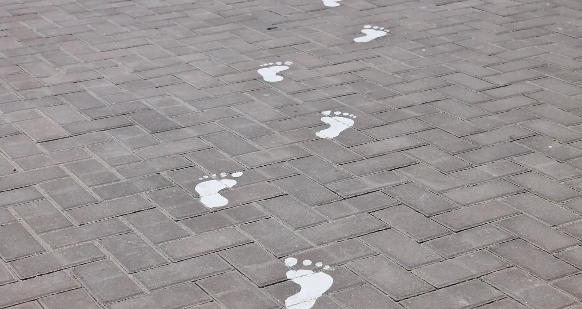 Επιστρέφει στην πεπατημένη το Επικουρικό Κεφάλαιο