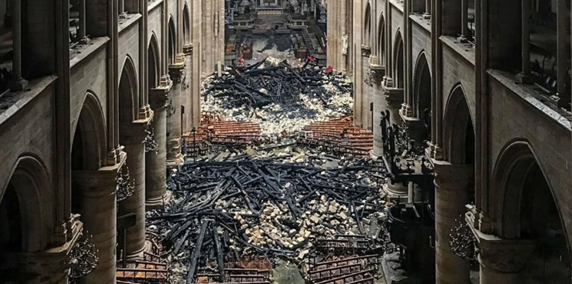 1.300 δέντρα από την Groupama για να ξαναχτιστεί η Notre Dame