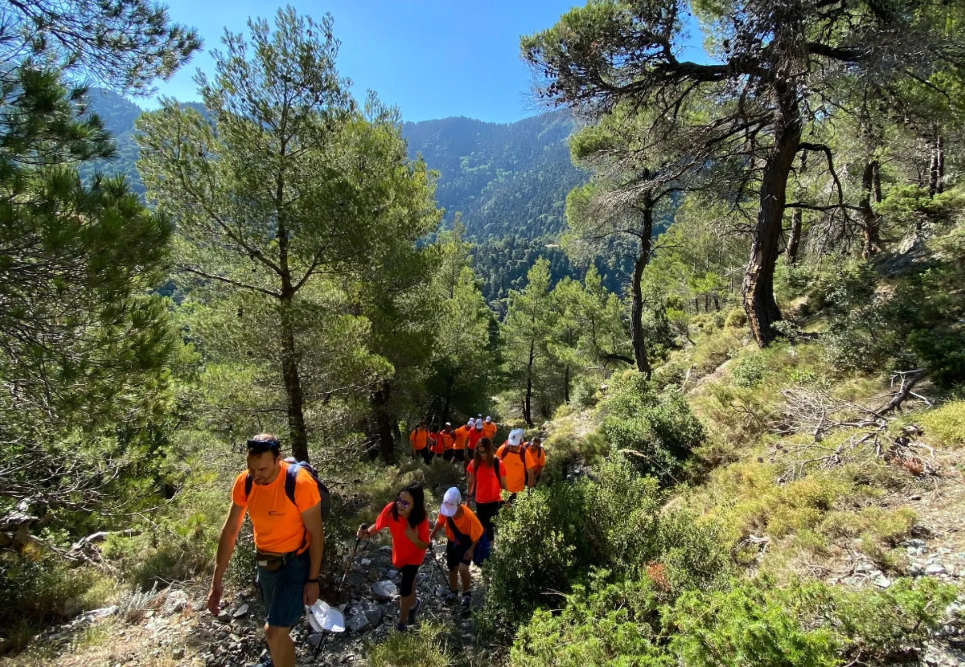 Eurocover “Hike & Run”: Εξόρμηση στην οροσειρά της Δίρφυ