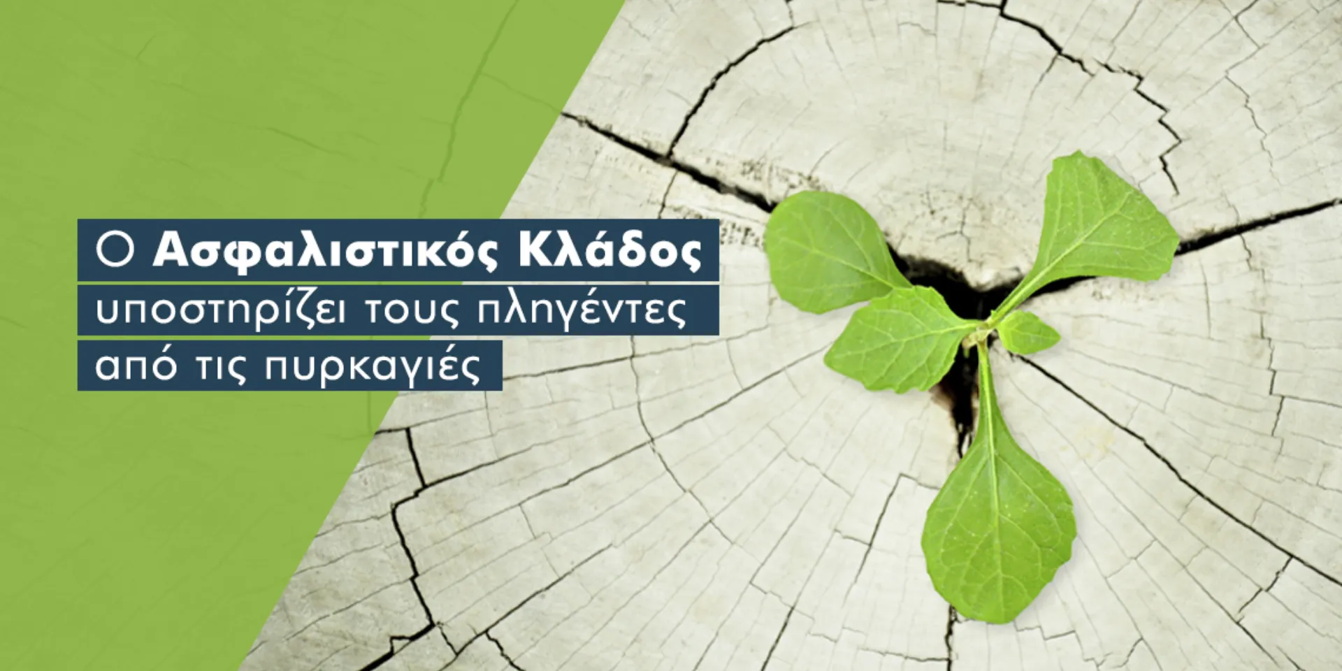 Ο Ασφαλιστικός Κλάδος δίπλα στους πληγέντες από τις πυρκαγιές