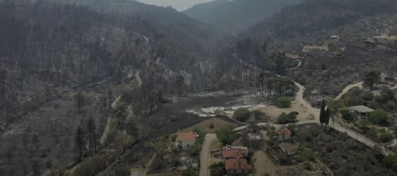 336% αύξηση της καμένης έκτασης στην Ελλάδα, με πάνω από 900.000 στρέμματα καμένης γης