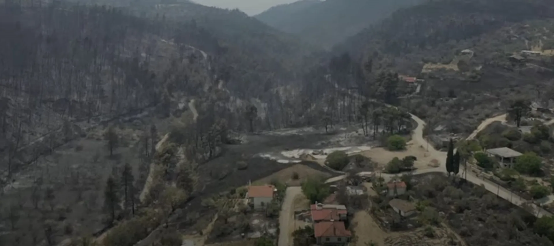 336% αύξηση της καμένης έκτασης στην Ελλάδα, με πάνω από 900.000 στρέμματα καμένης γης