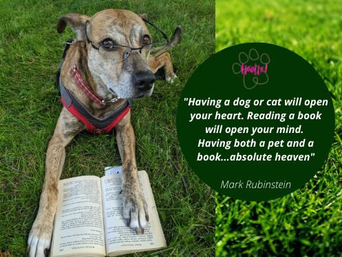 Ασφάλιση κατοικιδίων Hoolie Pet Insurance !