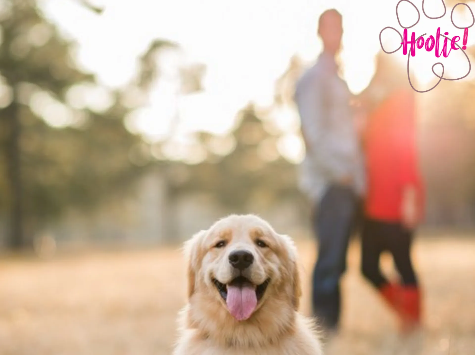 Ασφαλιστικό πρόγραμμα κατοικιδίου “Pluto, by Hoolie Foundation”