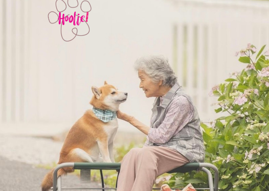 Hoolie: Έκπτωση 10% στα συμβόλαια ασφάλισης κατοικίδιων σε ηλικιωμένους και ανέργους