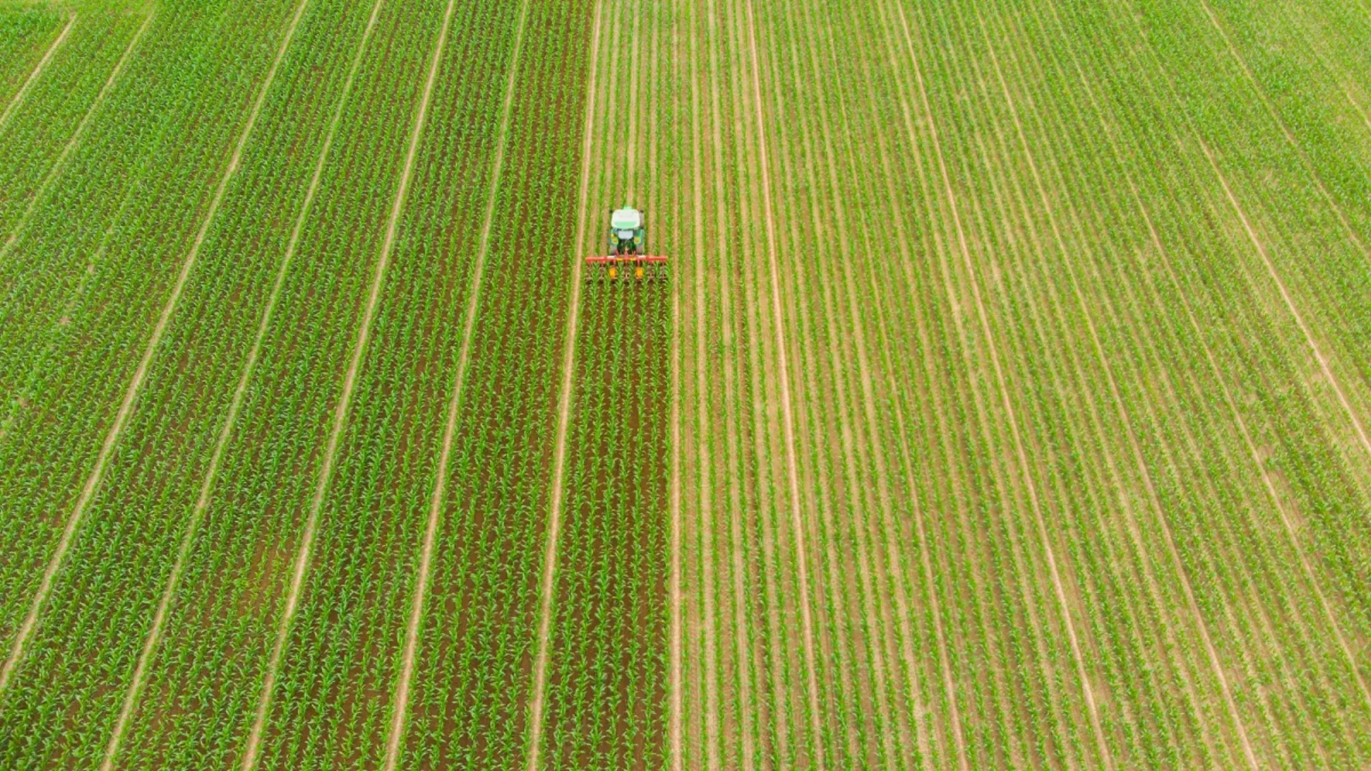 Σε κοινή πορεία αγροτική οικονομία και ασφαλιστική αγορά