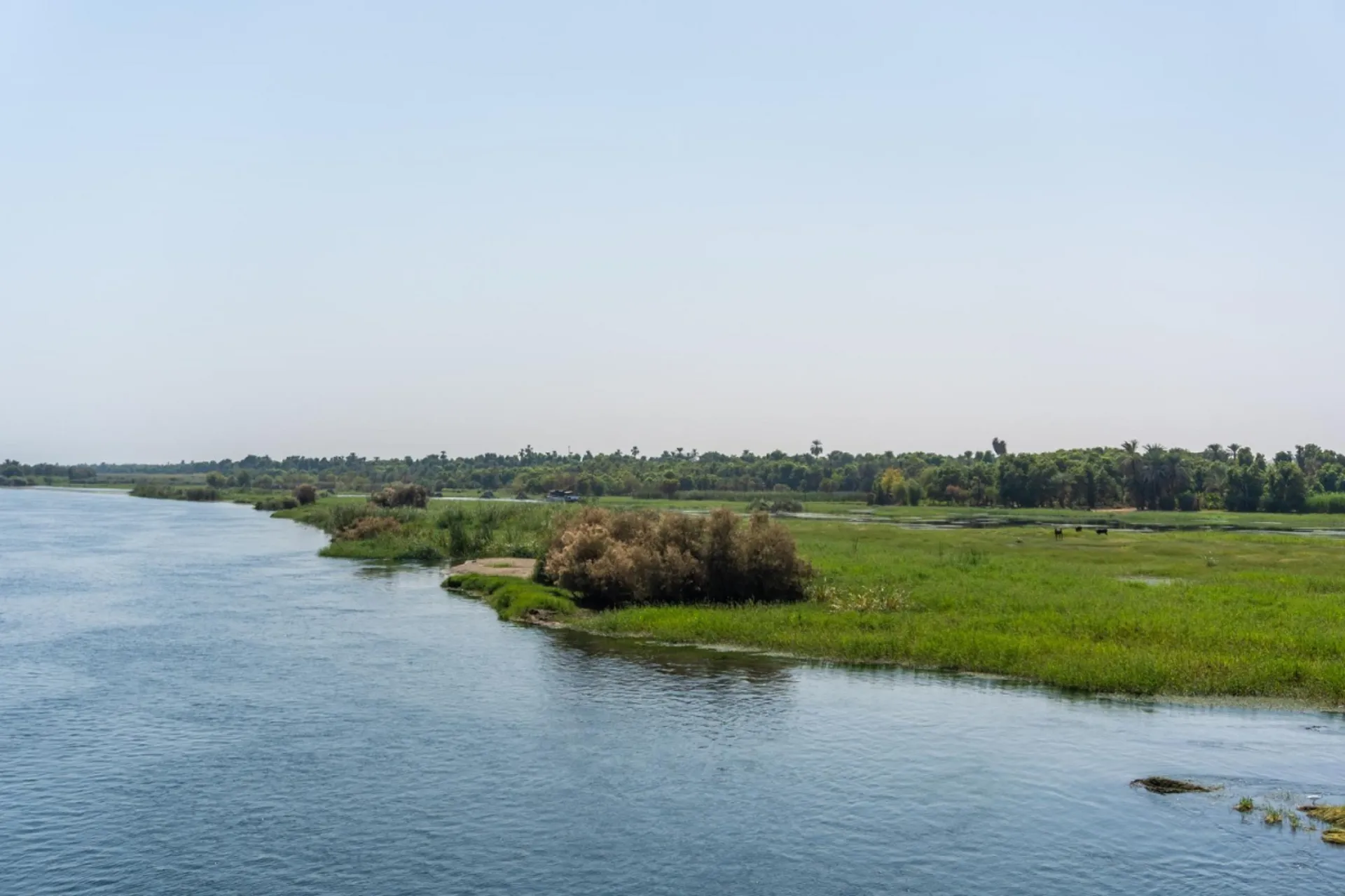 Πώς μπορούμε να προφυλαχθούμε από τον ιό του Δυτικού Νείλου και τα τσιμπήματα των κουνουπιών