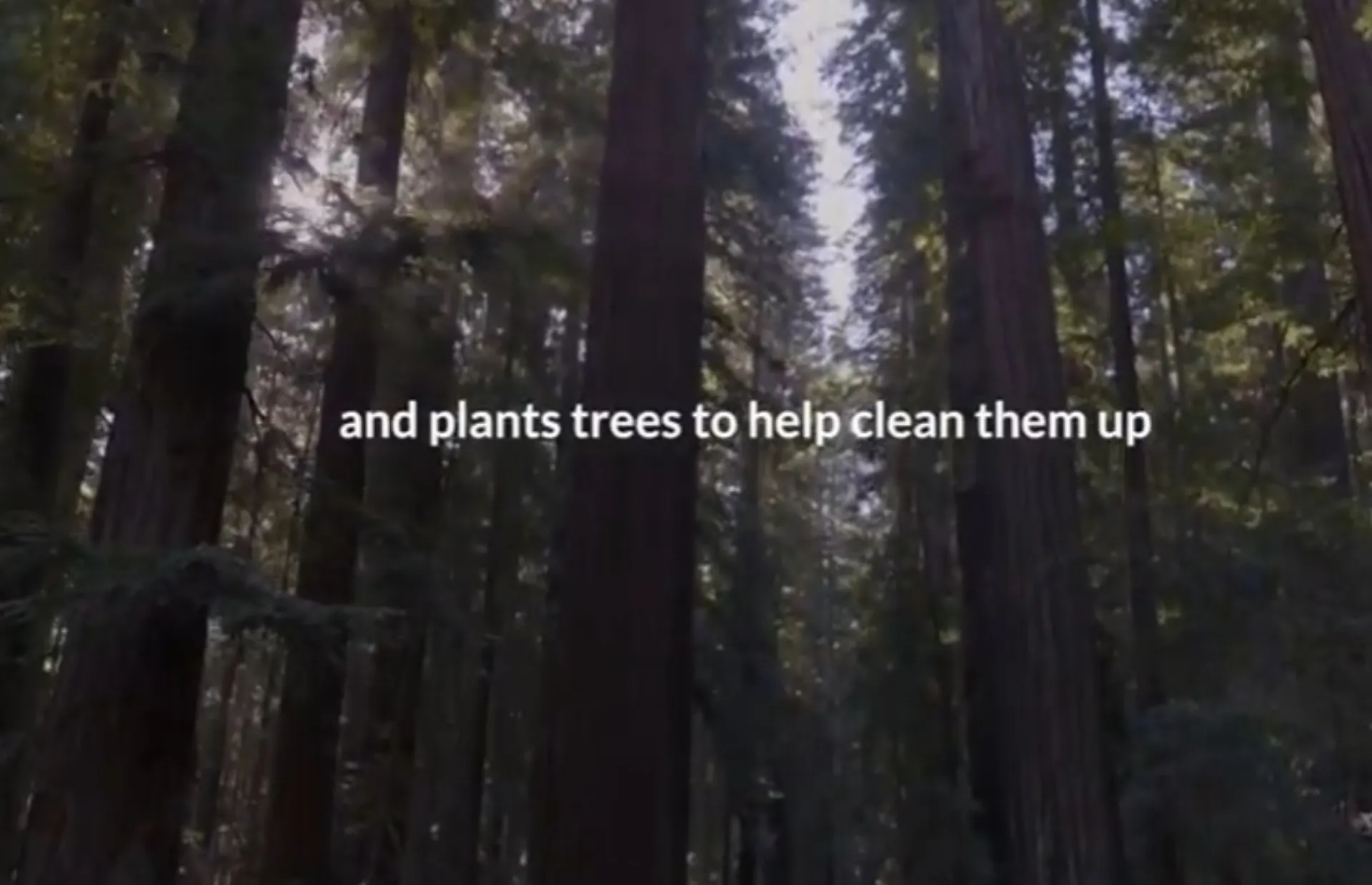 Ασφάλιση αυτοκινήτου που… φυτεύει δέντρα (video)