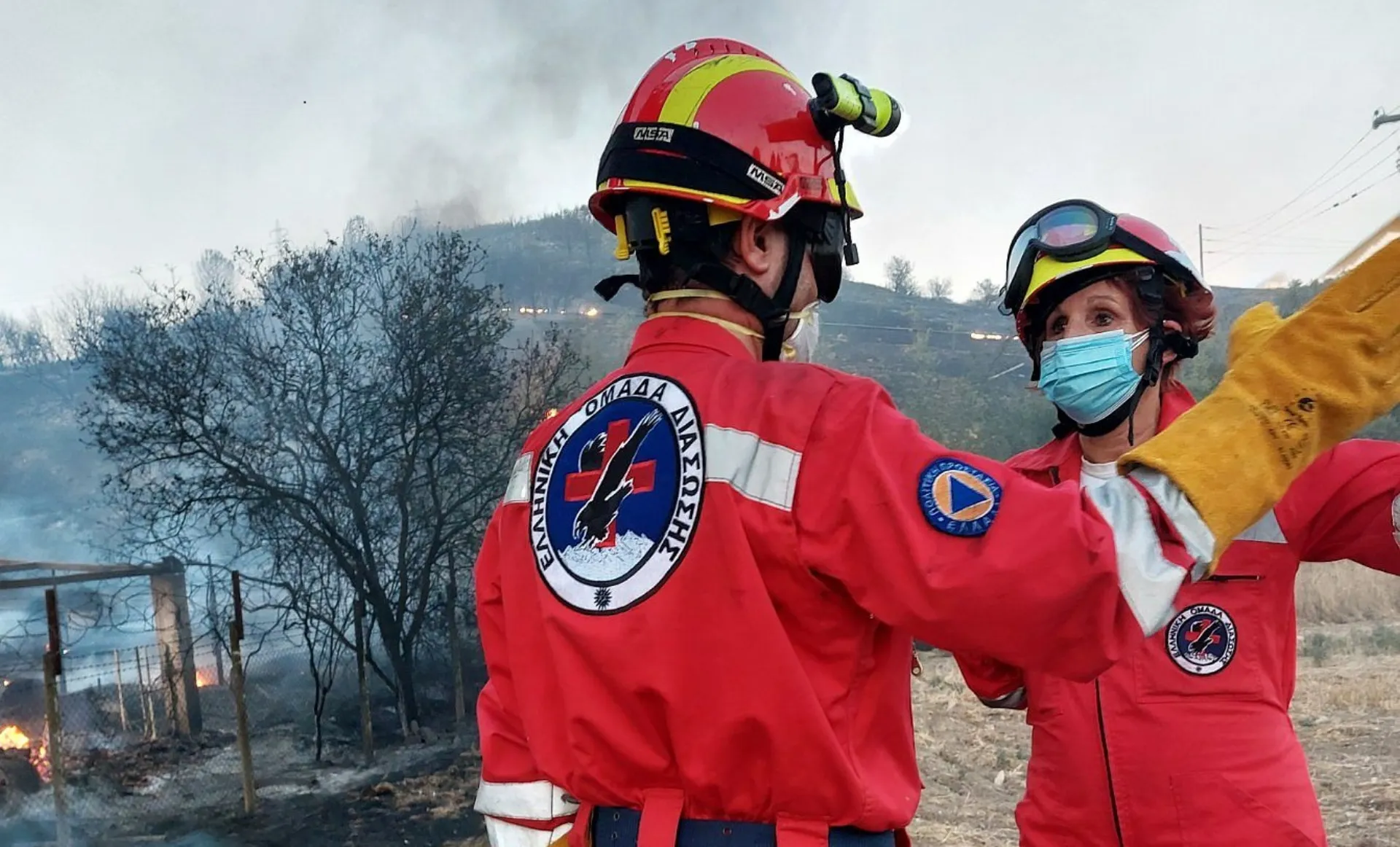 Δράσεις από την Interamerican για τις πυρόπληκτες περιοχές