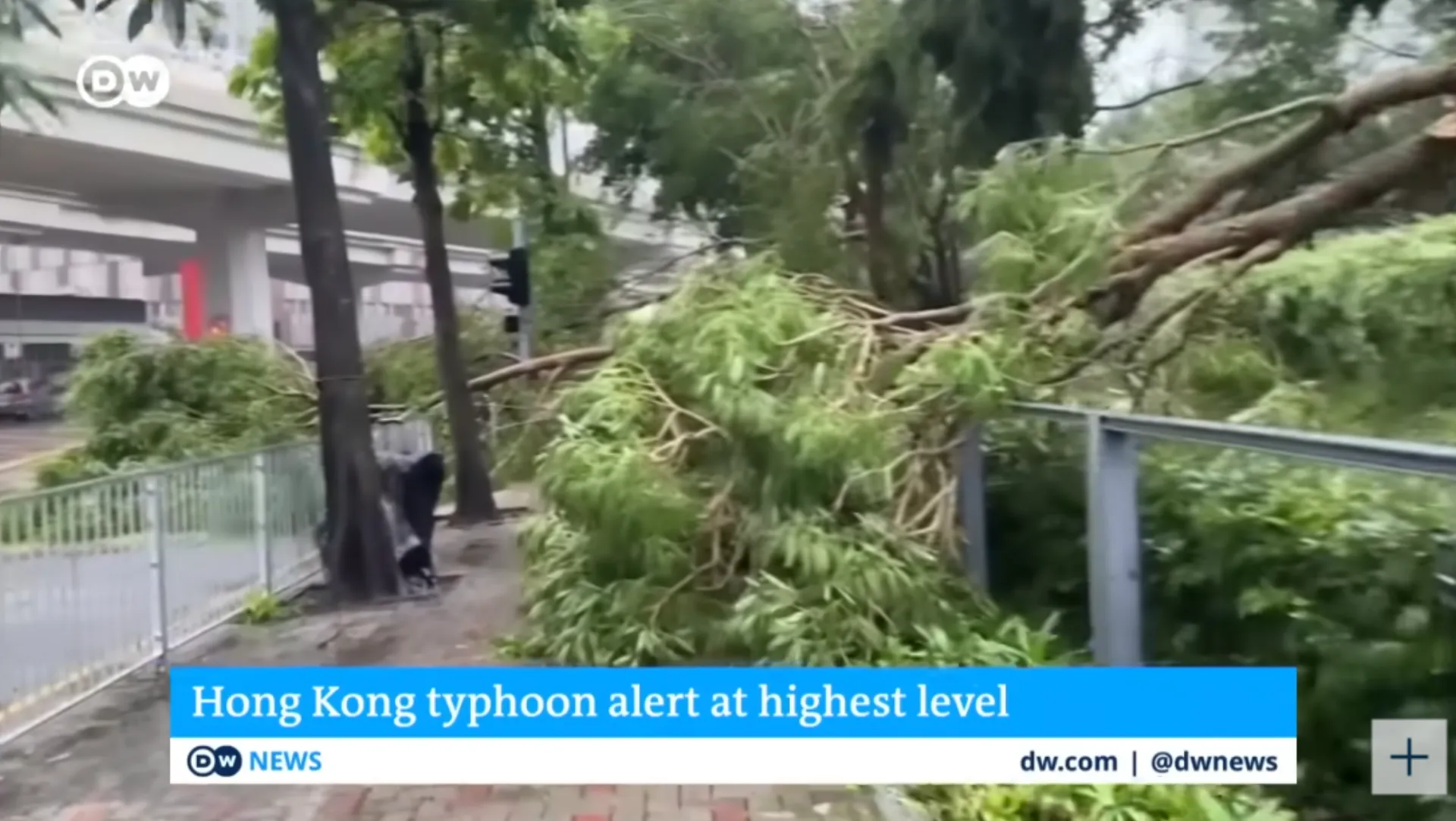 Typhoon Saola: Έως 400 εκατ. οι ασφαλιστικές αποζημιώσεις
