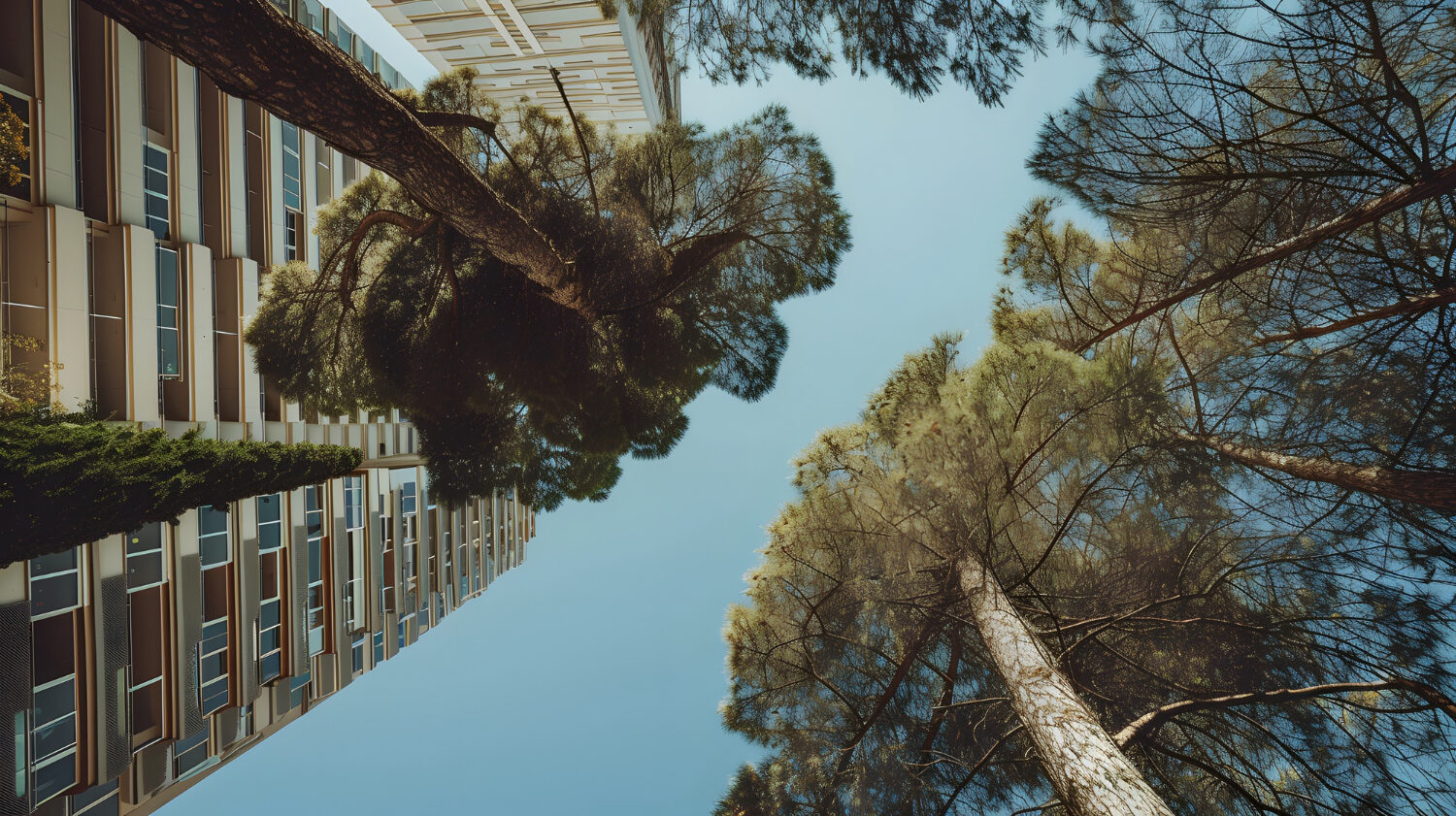 Πώς θα αντιμετωπιστούν τα αγκάθια της υποχρεωτικής ασφάλισης επιχειρήσεων