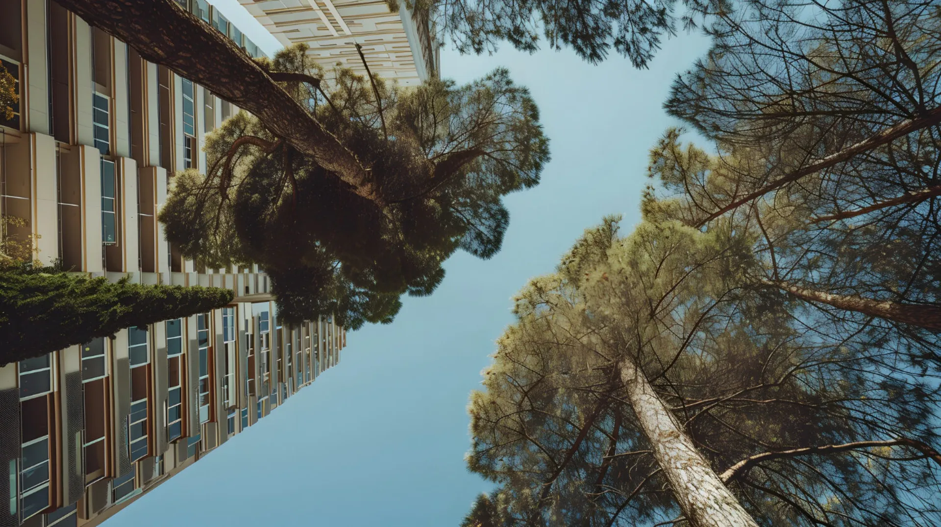 Πώς θα αντιμετωπιστούν τα αγκάθια της υποχρεωτικής ασφάλισης επιχειρήσεων