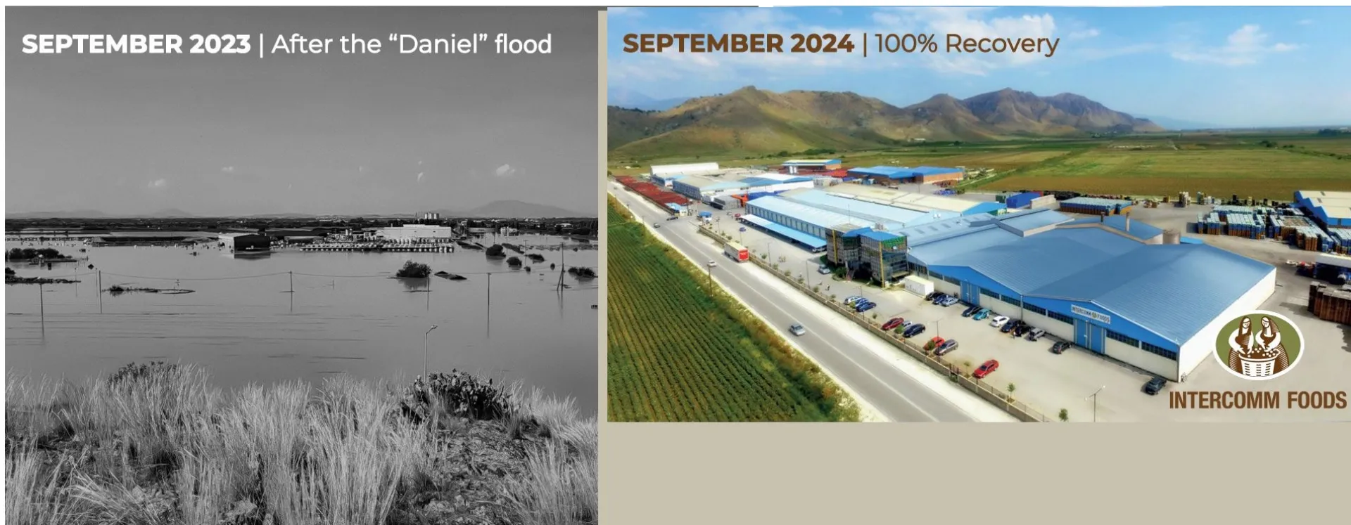 Intercomm Foods: Generali, Interamerican και ERGO στο συνασφαλιστικό σχήμα της αποζημίωσης