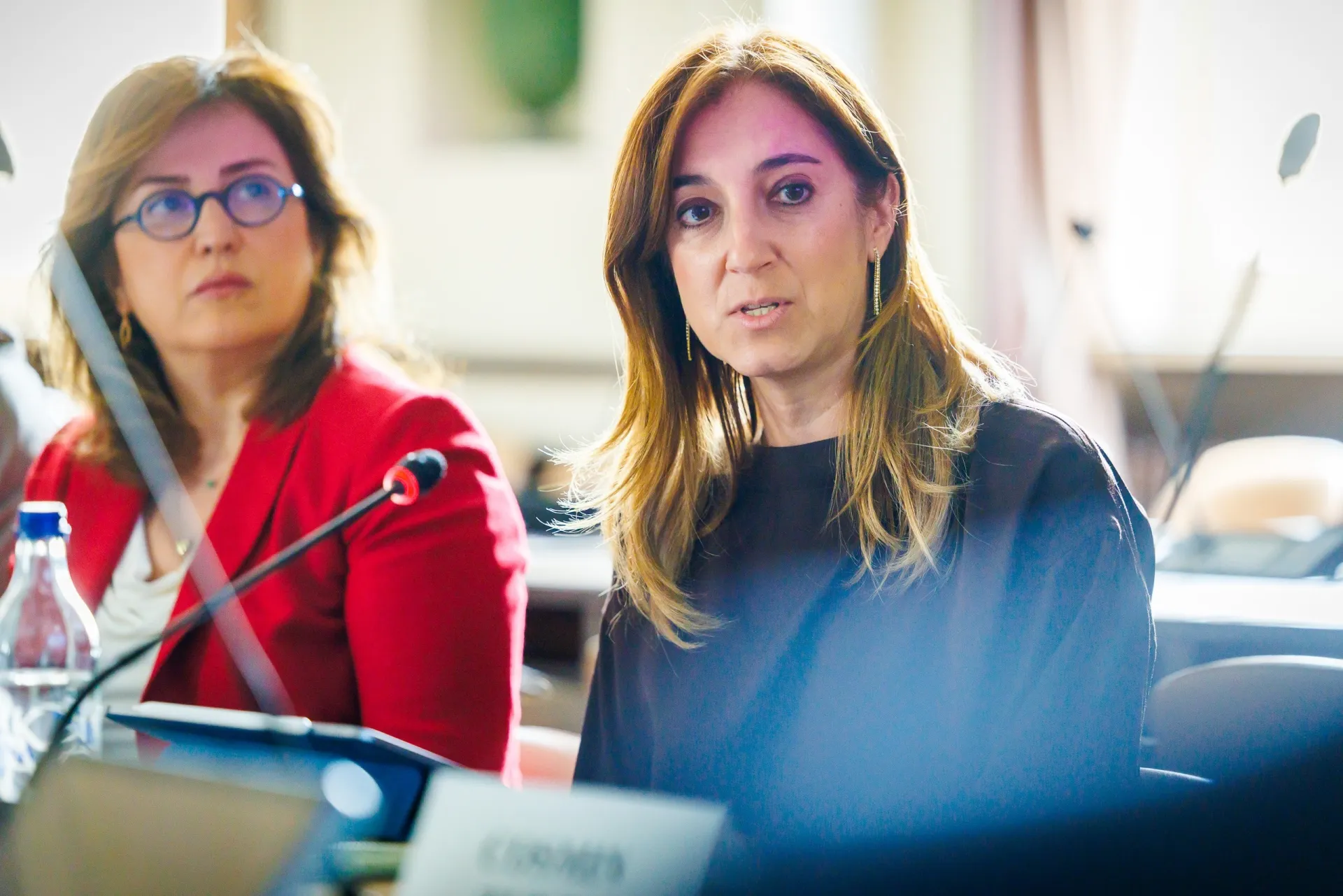 Η Ε. Παπασπυροπούλου – ΕΑΕΕ στο forum του UNECE για τις φυσικές καταστροφές