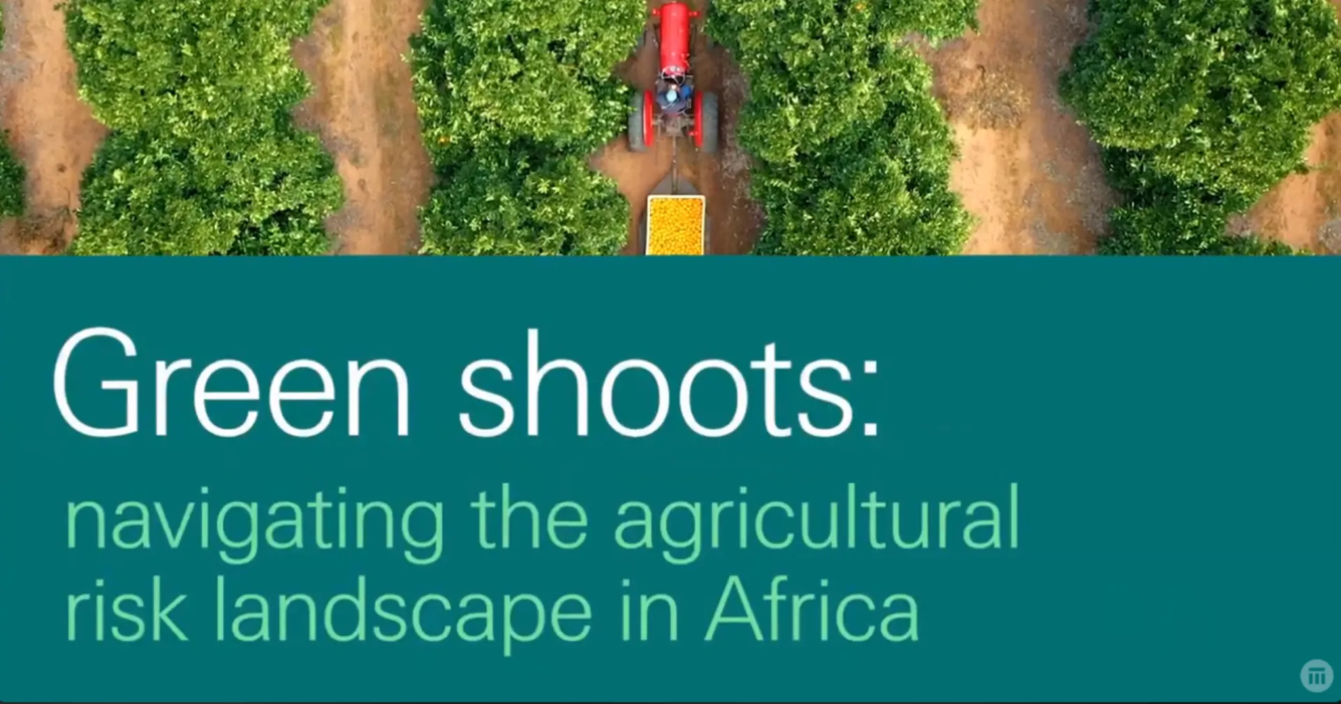 Swiss Re: Προς πιο ανθεκτική αγροτική επιχειρηματικότητα (video)