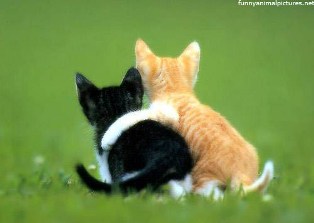 Οι φίλοι είναι ζωή