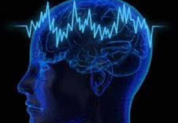 Δεκατρία Χιλιοστά του Δευτερολέπτου Αρκούν για να «Δει» Κάτι ο Εγκέφαλός μας