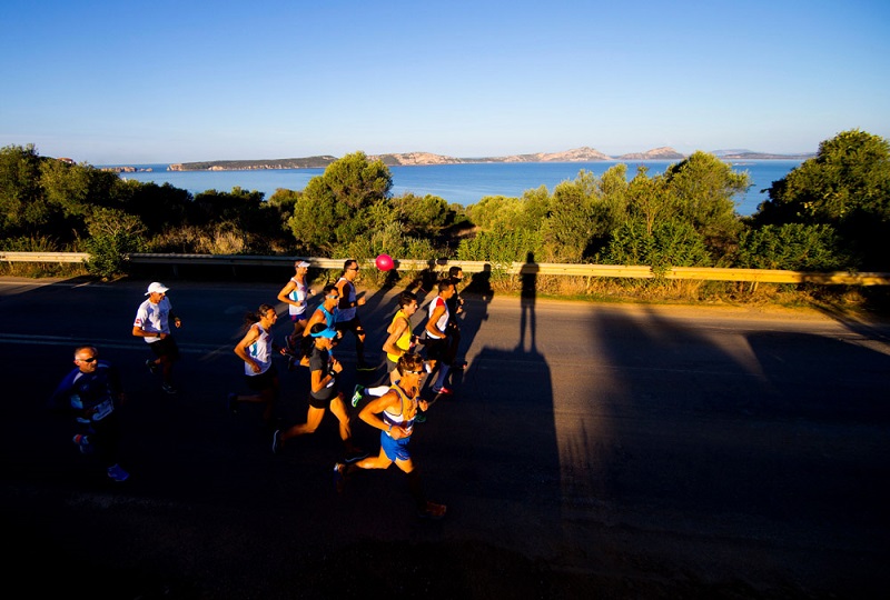 Navarino Challenge 2