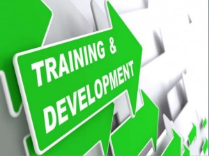 training development