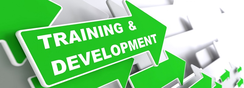 Training and Development - Education Concept. Green Arrow with "Webinar" slogan on a grey background. 3D Render.