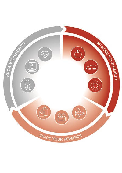 Vitality_Wheel