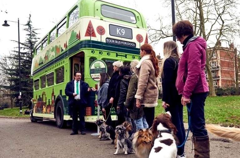 1.18.17-London-Launches-World’s-First-Bus-Tour-for-Dogs1