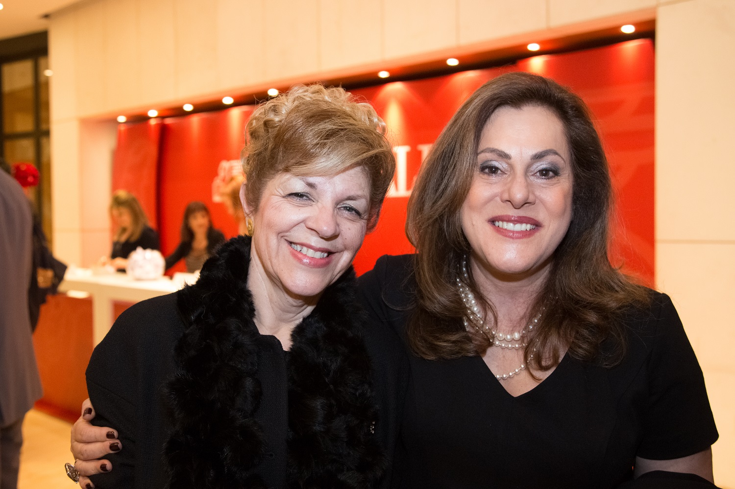 Α. Βαγιανού, Χ. Ερωτοκρίτου