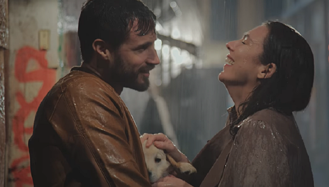 generali, Οικογενεια