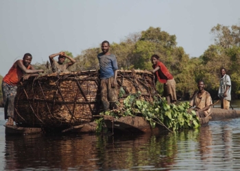 Σπάει το ασφαλιστικό μονοπώλιο στο Κονγκό – Ευκαιρίες 500 εκατ. δολ ετησίως