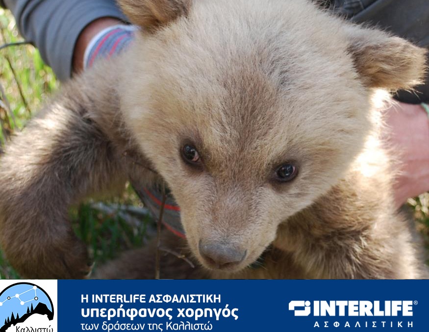 Πολυετής χορηγία της INTERLIFE στην Περιβαλλοντική Οργάνωση ΚΑΛΛΙΣΤΩ