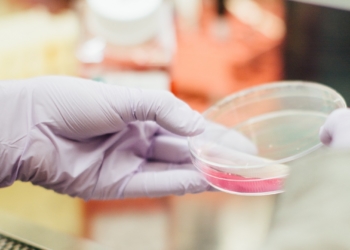 Χάθηκε 1 στις 4 θέσεις εργασίας από τη φαρμακοβιομηχανία με την κρίση