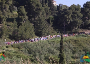 Δρόμος της Εκεχειρίας,Εθνική Ασφαλιστική