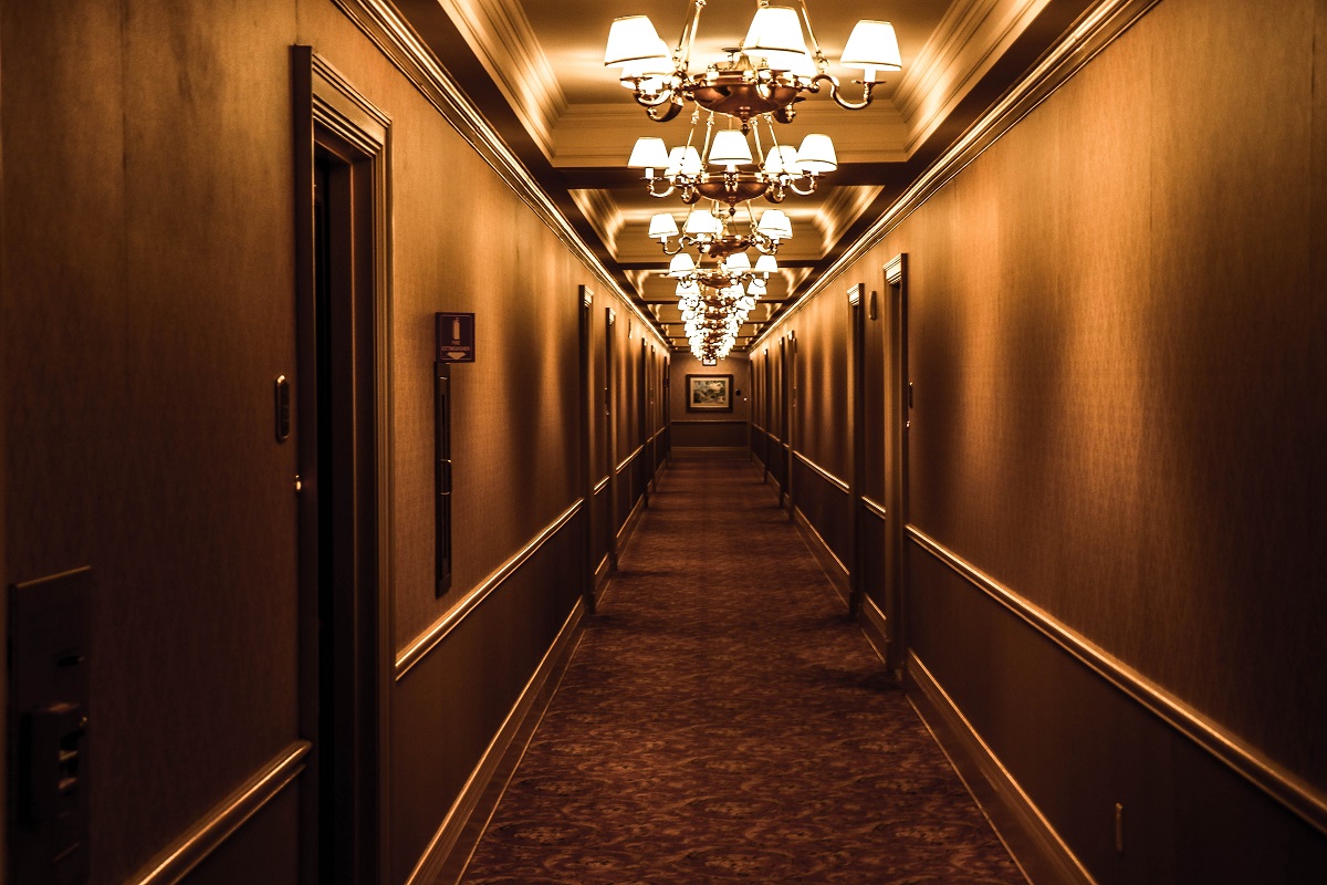 architecture-carpet-chandeliers-design