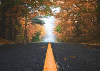 Autumn road