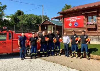 Σ.Ε.Α.Δ.,INTERAMERICAN