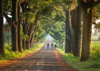 Η.Γ.Γαβριλάκης: Η αυτοβιογραφία του Χανιώτη Γιατρού μέσα από το βιβλίο “Οι δρόμοι μου”