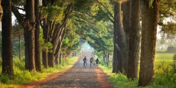 Η.Γ.Γαβριλάκης: Η αυτοβιογραφία του Χανιώτη Γιατρού μέσα από το βιβλίο “Οι δρόμοι μου”