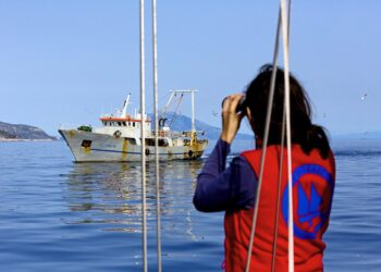 Στόχος οι Βιώσιμες Πόλεις αλλά χωρίς αποκλεισμούς