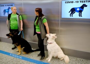 Στο Dubai και τη Φινλανδία σκυλιά K9 ανιχνεύουν τον κορωνοϊό