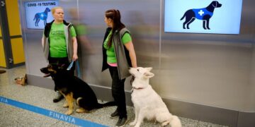 Στο Dubai και τη Φινλανδία σκυλιά K9 ανιχνεύουν τον κορωνοϊό