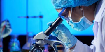 Examining Sample with Microscope