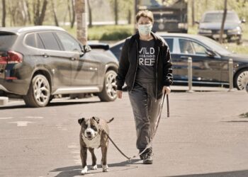 Μετακίνηση με SMS: Ποιες είναι οι έξι επιλογές και τι ισχύει για εργαζόμενους