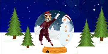 Hoolie Pet Insurance